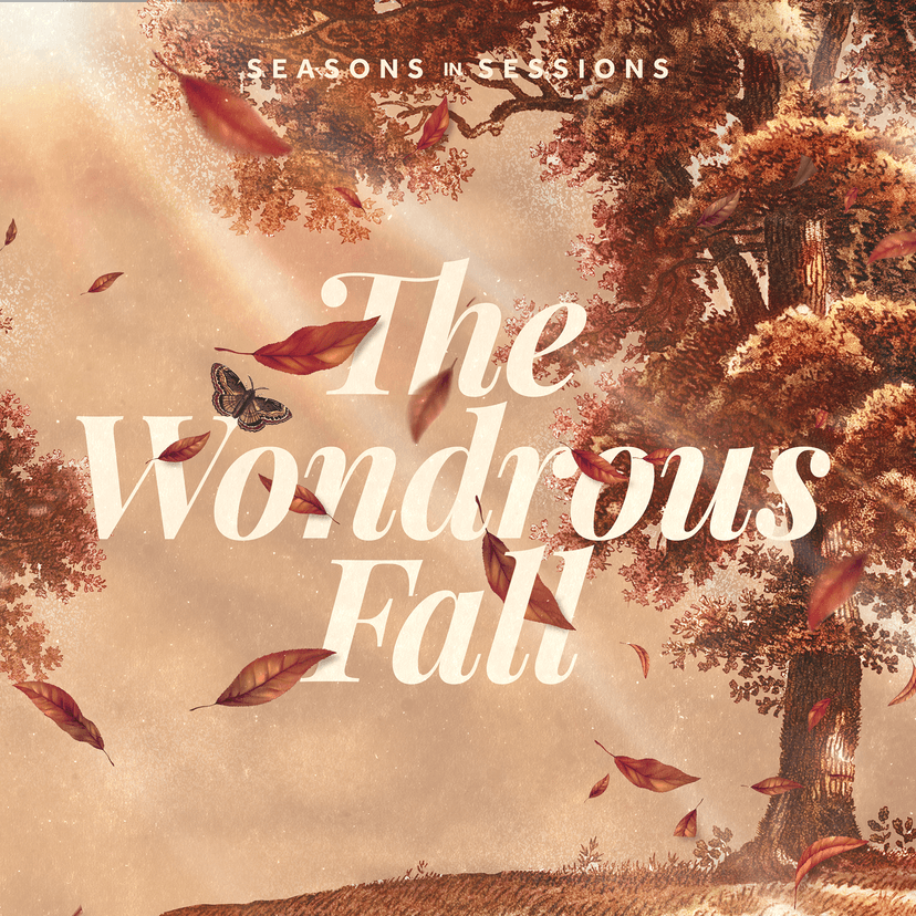 The Wondrous Path